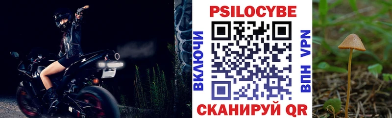 Псилоцибиновые грибы GOLDEN TEACHER  Купить  Зея 